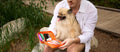 featured_video_youtube_kTXMDVgp9lw/New Pet Medic/Highlight video of the all-new Pet Medic