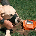 Pet Medic