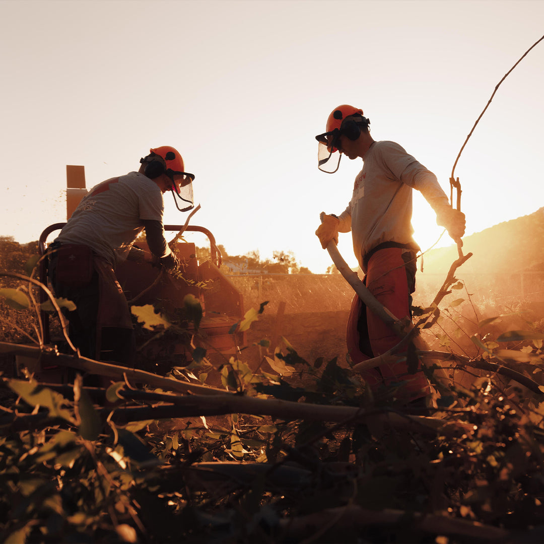 Sidekick X Team Rubicon