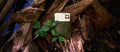 featured_video_youtube_FxbZWBal6ywNew Wildeness Medic/Highlight video of the all-new Wilderness Medic